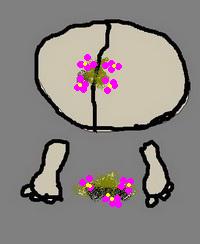 Ждём принца!