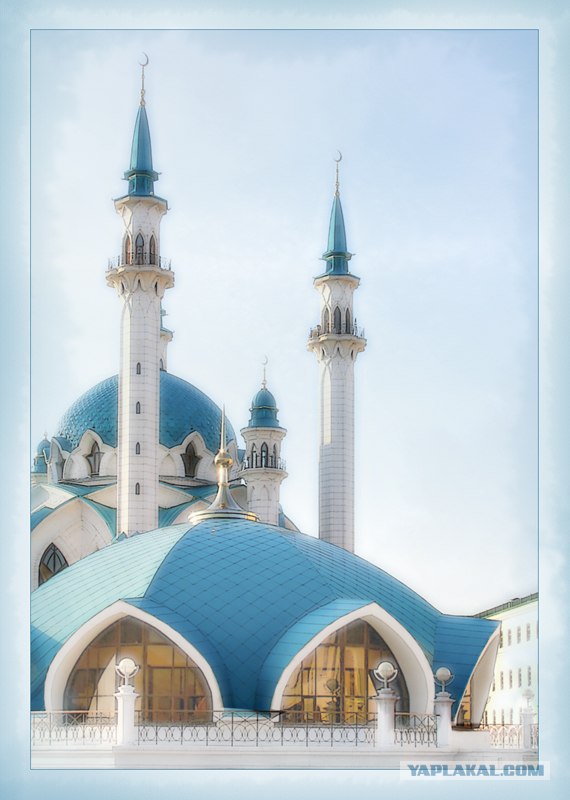 Фотограф от бога.