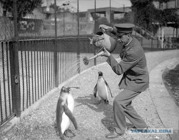 Супер фотографии