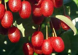 Непридуманные армейские истории