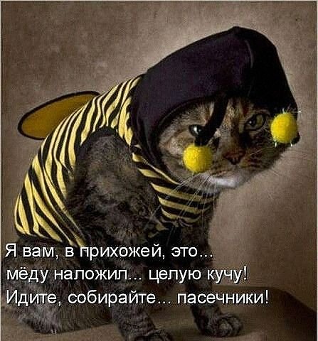 Подборка прикольных картинок из сети