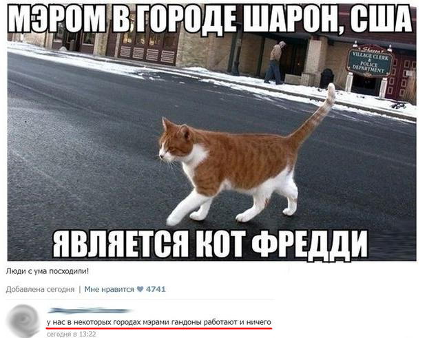 Смешные комментарии из соц.сетей