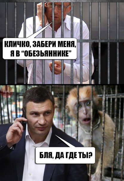Демотиваторы на Субботу