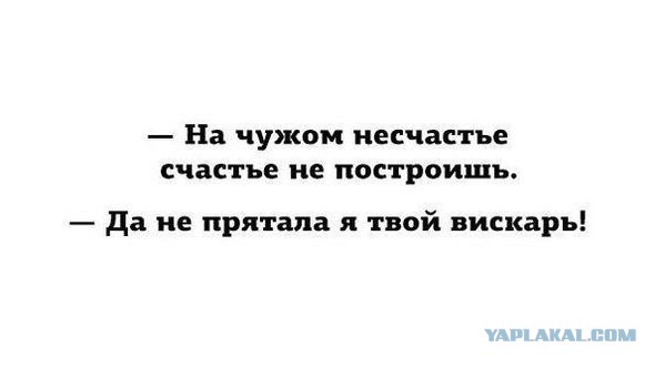 Смешные комментарии из соц.сетей 09.11.15