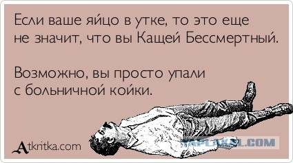 Анекдоты на вторник (своя подборочка №8)