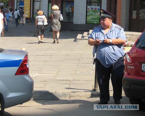 Эти замечательные галифе