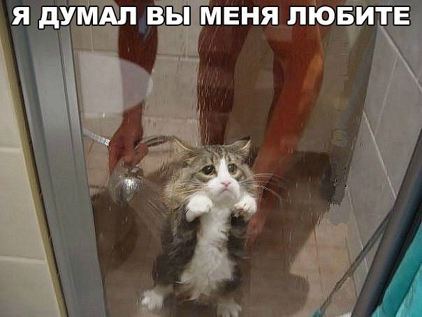 Разные картинки