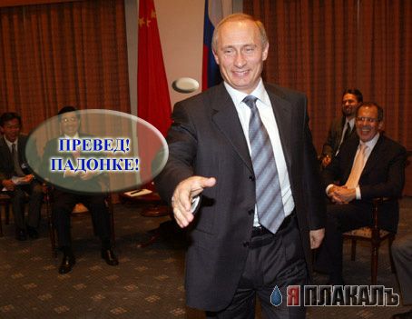 Превед медвед!