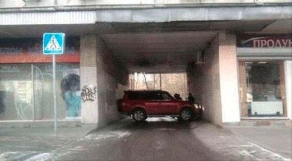 Подборка Картинок из сети