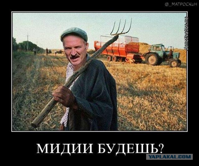 Обед в японской школе — это гораздо больше, чем просто прием пищи