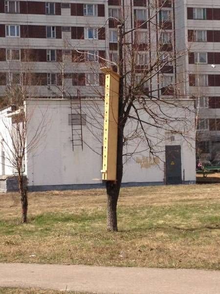 Подборка интересных и прикольных картинок