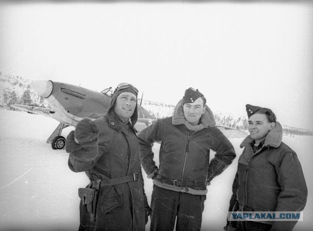 Война в воздухе. Союзники