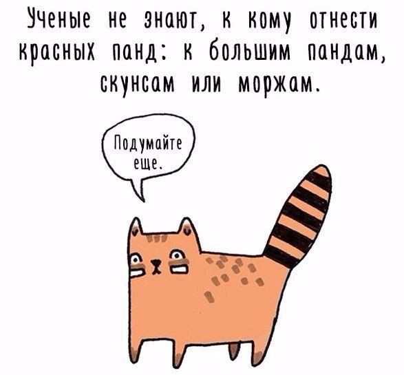 Подборка интересных и смешных картинок