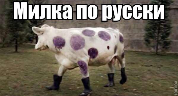 Всякое разное из интернета