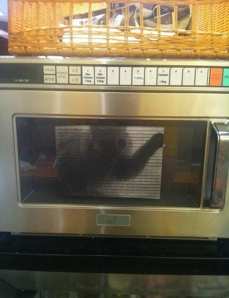 Картинки и приколы из сети