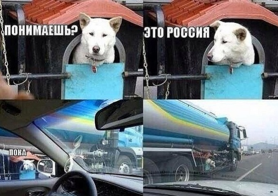 А все остальные страны нам завидуют!