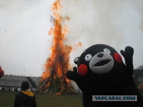 Осторожно! Это Япония!
