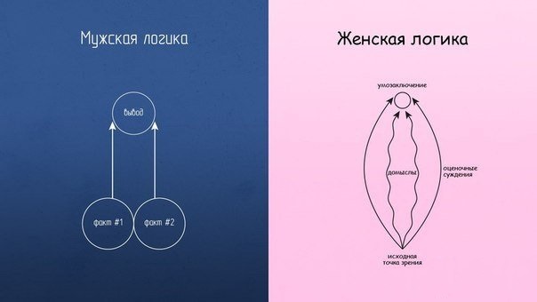 Мужчины vs. женщины: главные отличия
