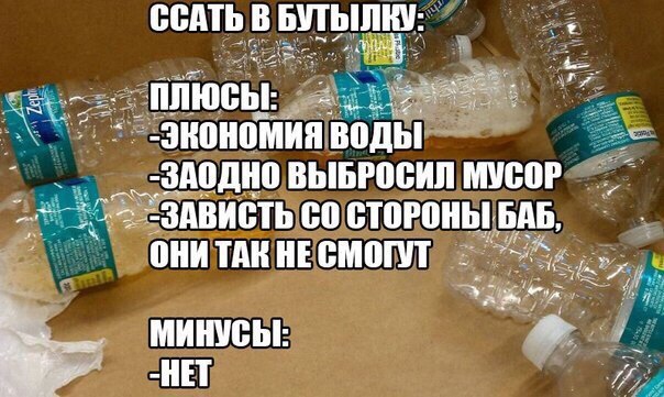 Сбор аморалов Япа объявляется открытым