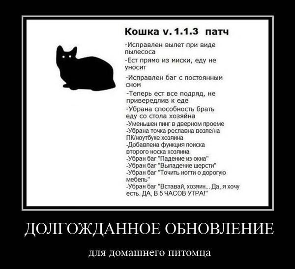 Журнал школьный деградант