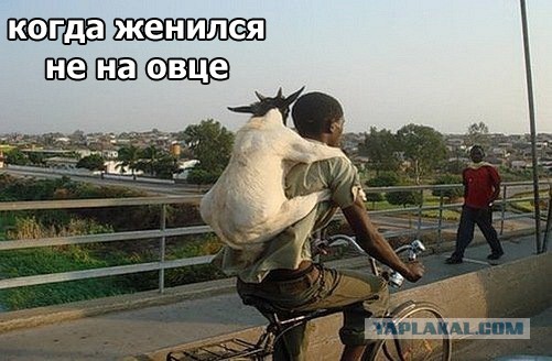 Свежий выпуск "Воскресного Мизантропа"