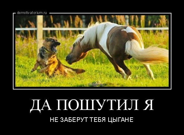 Всяко-разно из тырнэта