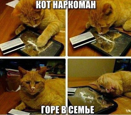 Нестандартный юмор