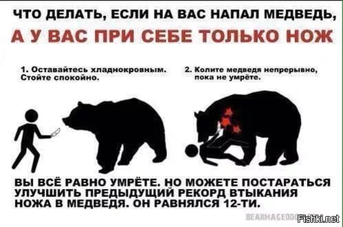 Как нас медведь гонял, а мы – медведя