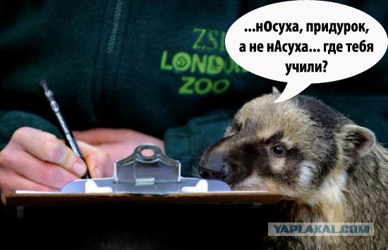 Полная перепись зоо-населения