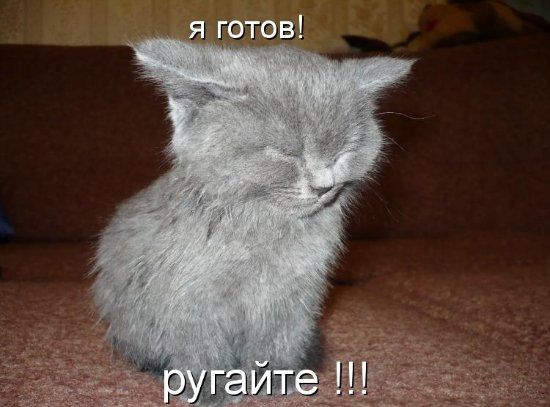 Кошарий