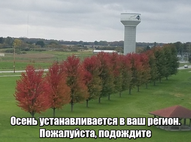 Нестандартный юмор