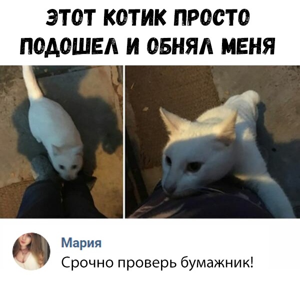 Прикольные картинки абавсём