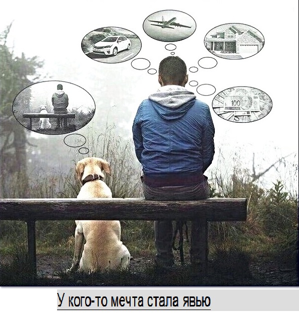 Анекдоты, соц-сети, истории и картинки с надписями