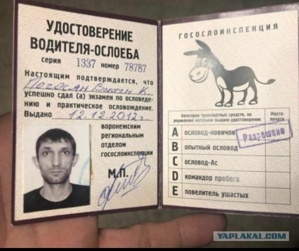 Бредзона