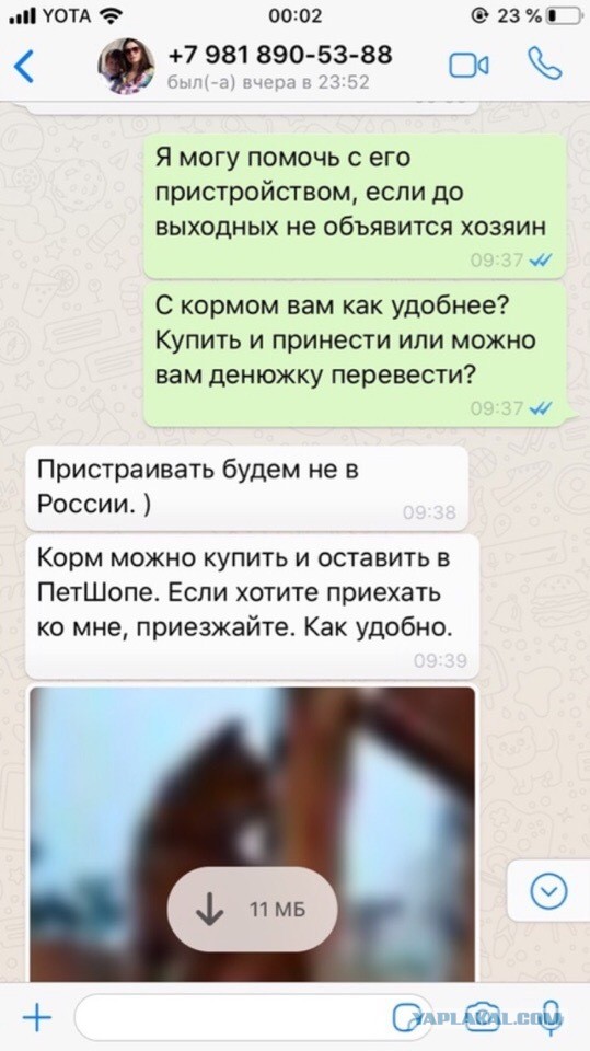 Помогите вернуть кота! Приют "Преданное сердце" украл кота и не отдает!