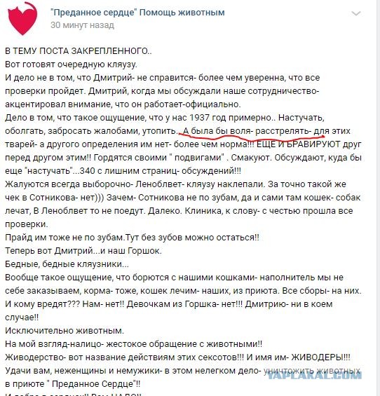 Помогите вернуть кота! Приют "Преданное сердце" украл кота и не отдает!-2