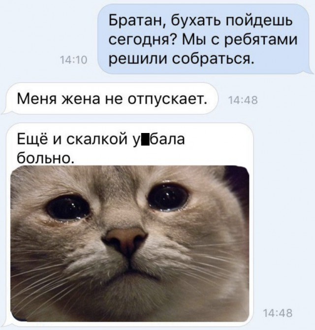 Бредзона 21.02.2020