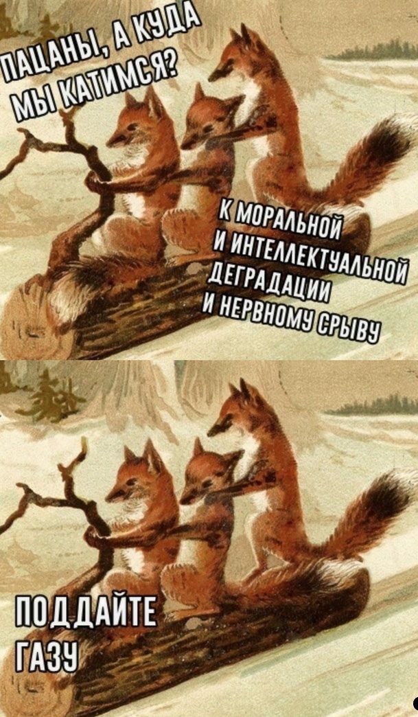 Немного картинок для настроения 118