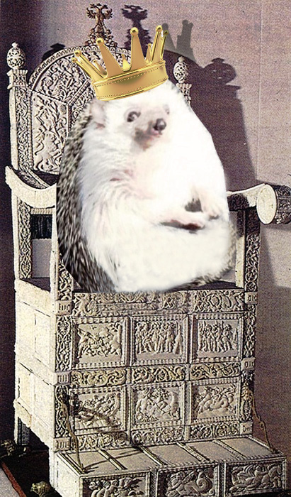 "Идеальный пассажир". Фотожабы на ежика, который пристегнулся