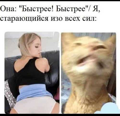 Вот еще немного слегка пошлых картинок с надписями и без 16+ (11.08)
