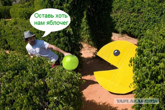 Конкурс фотожабы от интернет-магазина Mrsoft