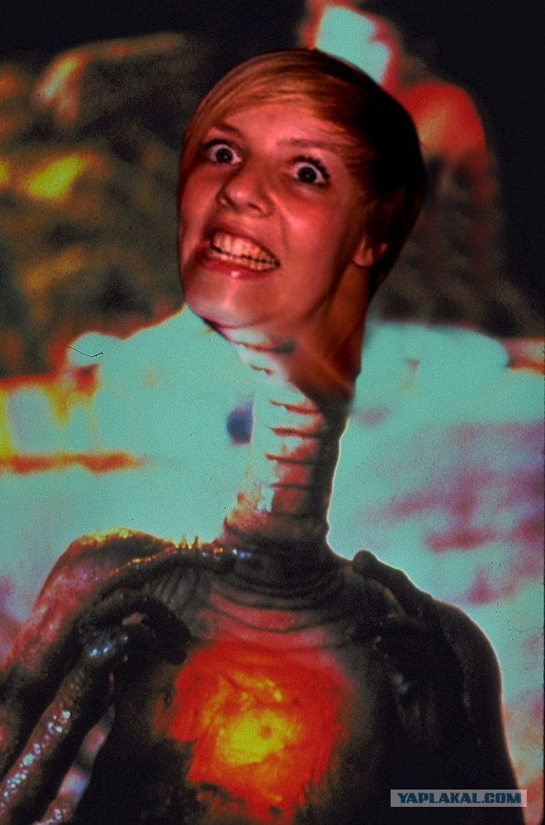 Вытянулась: картинка и 2 жабы