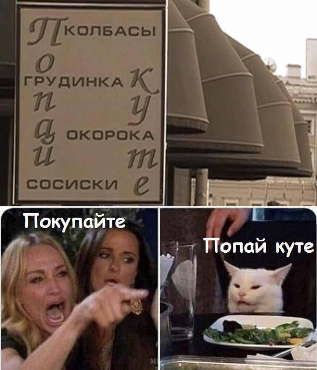 Кота не переубедить