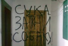 Хаски - это диагноз