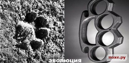 Картинки, исключительно из букв