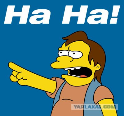 Олени за рулем