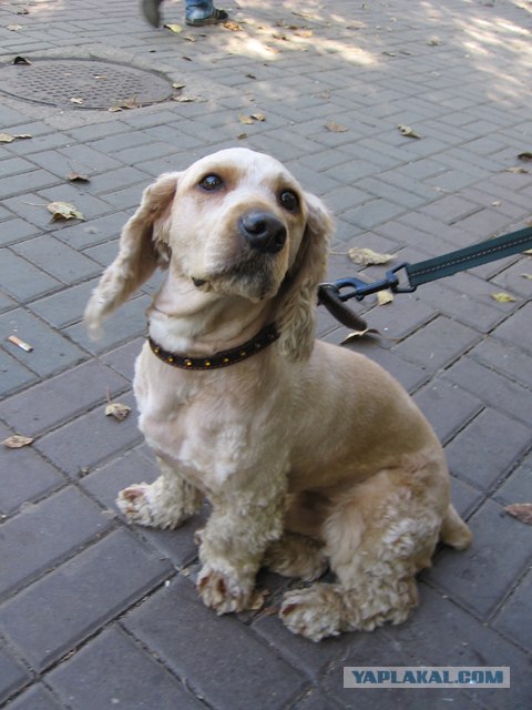 Можно я с краешку прилягу?