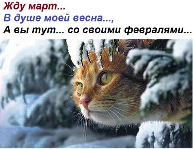 Насохранял