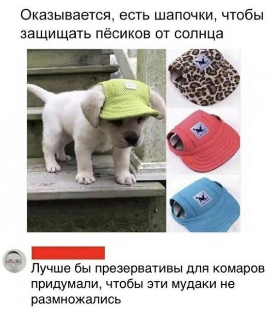 Баянисто-небаянистый юмор 12.07.21