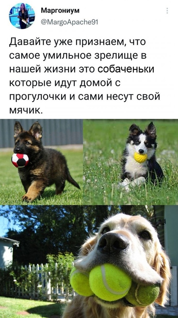 Так себе картинки 20.08.21